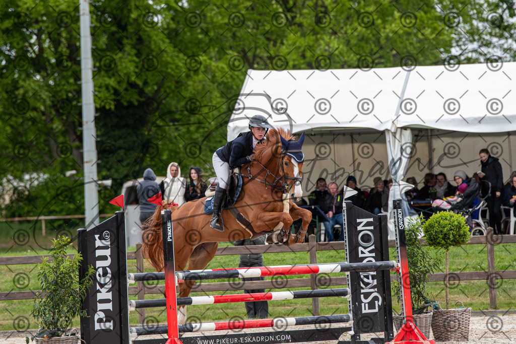 KPT_8488 | andre_photographic