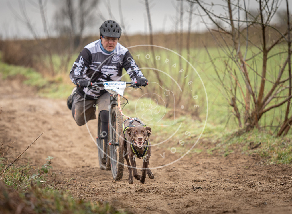 DV3A9270 | Hundefotografie, Tierfotograf, Pfotenfotografie, Fotoshooting Hund, Hunde Portrait, Hundesport, Hundeportraits, Heideshooting, Hunde, Sportfotograf, Hundefotograf, Turnierhundsport, THS,  - Realisiert mit Pictrs.com