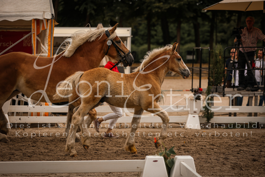 SaHF00048 | Leoni Ertmer Photography - Realisiert mit Pictrs.com