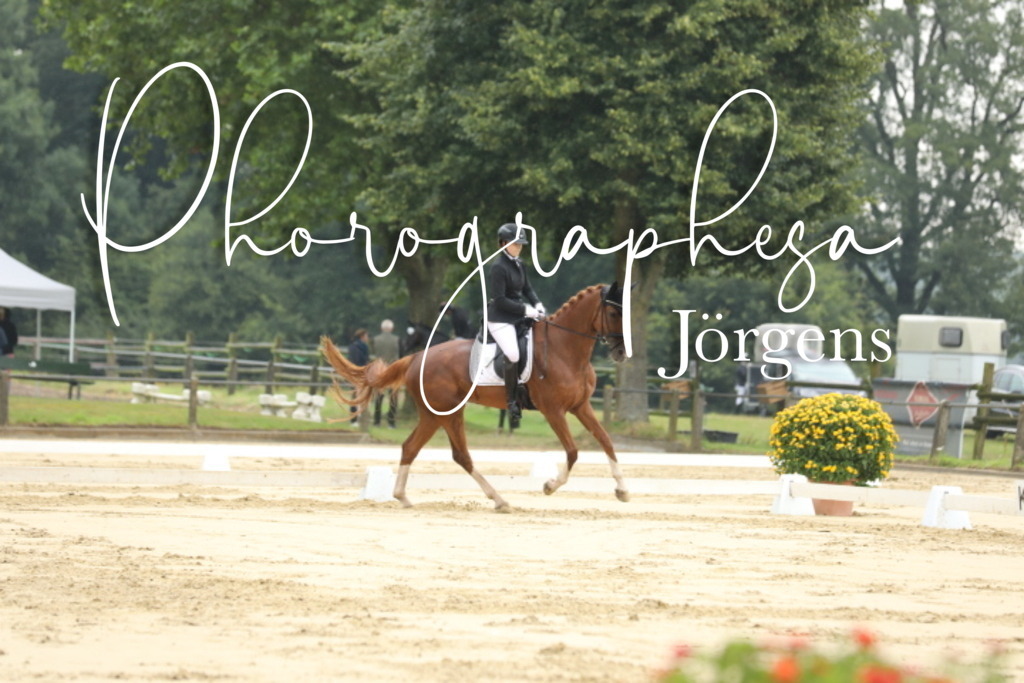 IMG_4927 | photographesa-joergens - Realisiert mit Pictrs.com