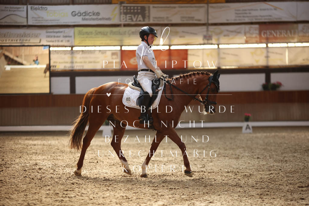 IMGS3207 | pl-fotografie