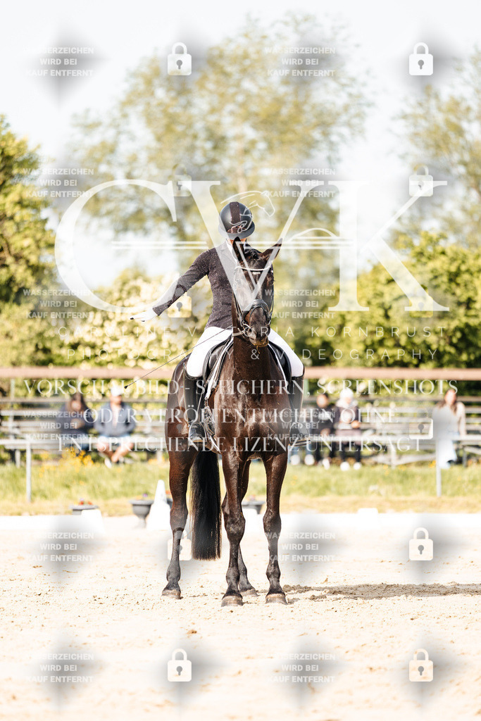 CK900180 | Turnierfotografie Pferdefotografie Trier Rheinland-Pfalz Pferdesport Reitsport Tierfotografie Sportfotografie Pferdevideo Pferdevideografie Equestrianvideography equestrianphotography  - Realisiert mit Pictrs.com