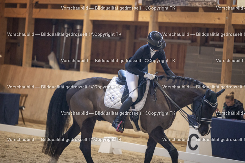 _D5A1792 | Emotionale Pferde- & People-Fotografie rund um Heidelberg, Leimen & Umgebung. Natürliche Fotos von Pferd, Mensch & Familie. Jetzt Termin sichern!