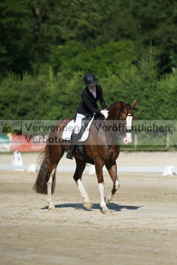 DSC02895 | equestrian-live-com