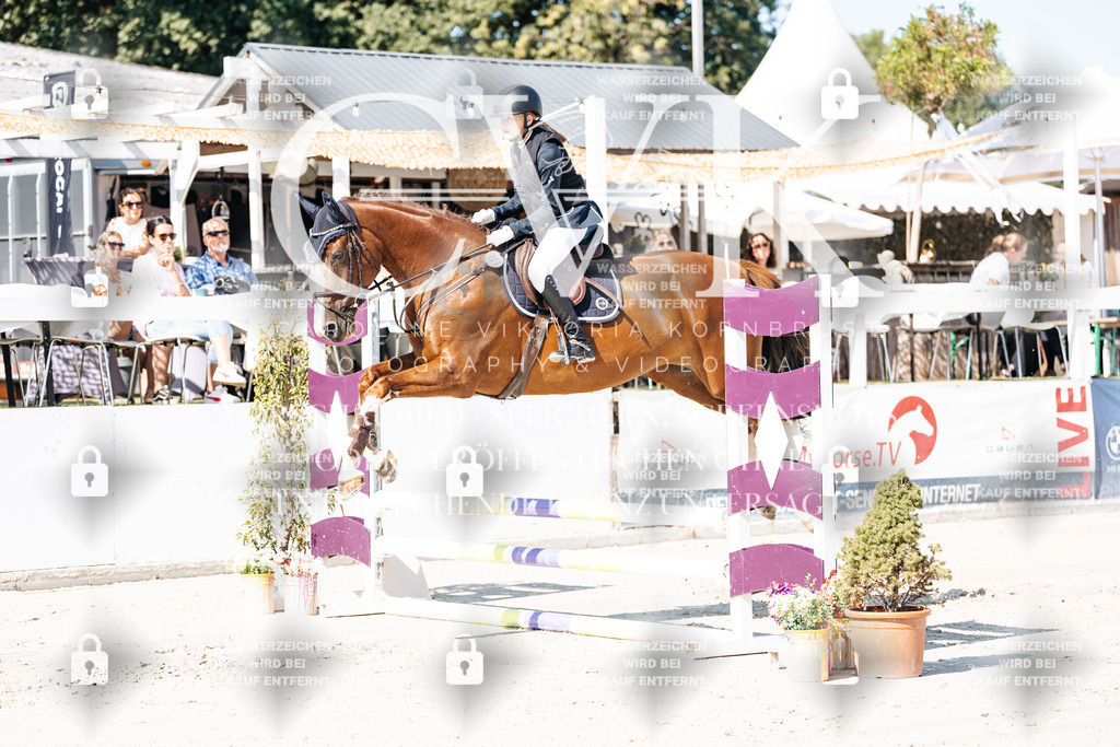 CK905216 | Turnierfotografie Pferdefotografie Trier Rheinland-Pfalz Pferdesport Reitsport Tierfotografie Sportfotografie Pferdevideo Pferdevideografie Equestrianvideography equestrianphotography  - Realisiert mit Pictrs.com