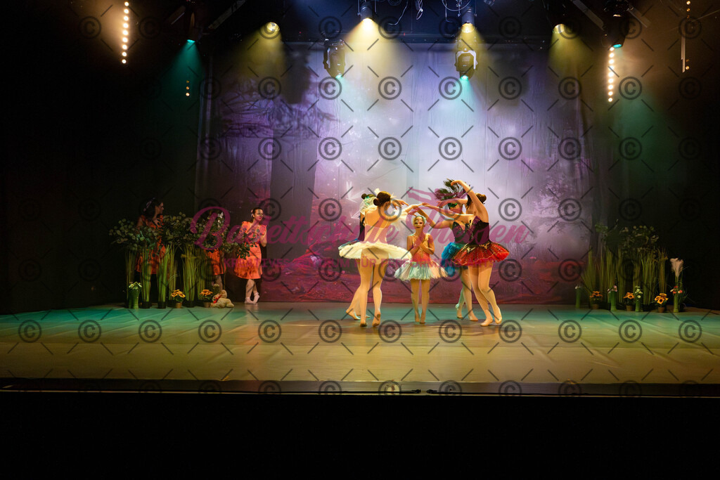 Ballettaufführung-26 | Bildershop Lem'n Entertainment - Realisiert mit Pictrs.com