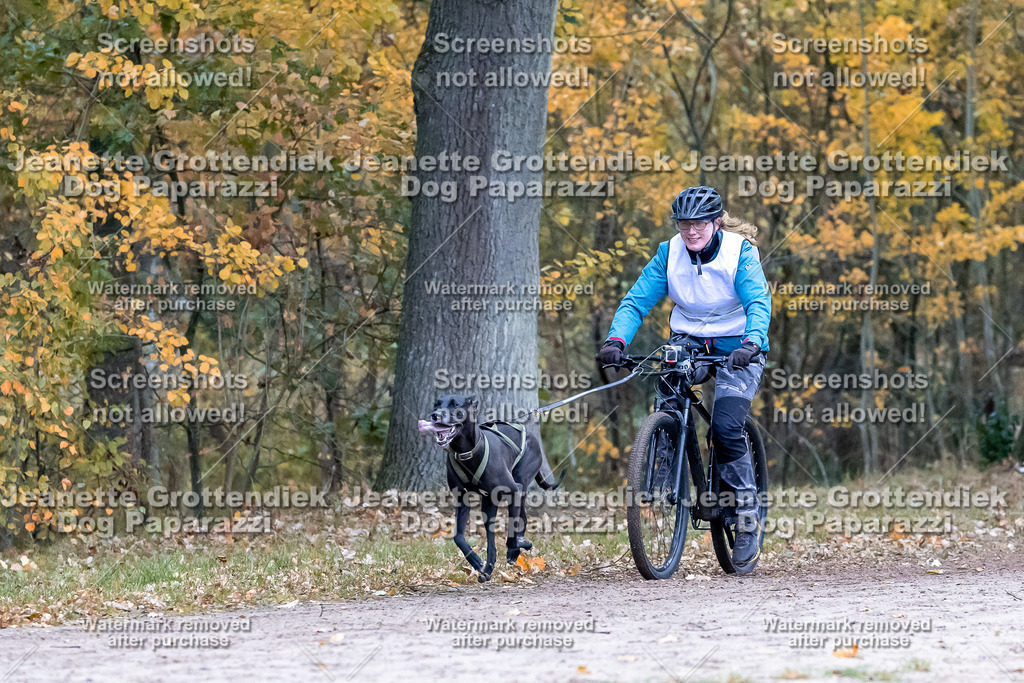 Dog Paparazzi - SD CaniX Championship 2025-282 | Dog Paparazzi Jeanette Grottendiek Fotografie & Videografie - Realisiert mit Pictrs.com