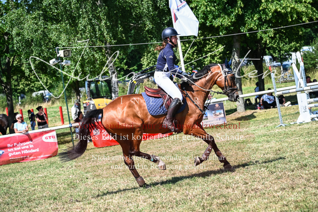 DSC_1351 | Pferde- und Turnierfotografie in Westsachsen. Pferdeportraits, Auftragszeichnungen und intuitive Kunst.