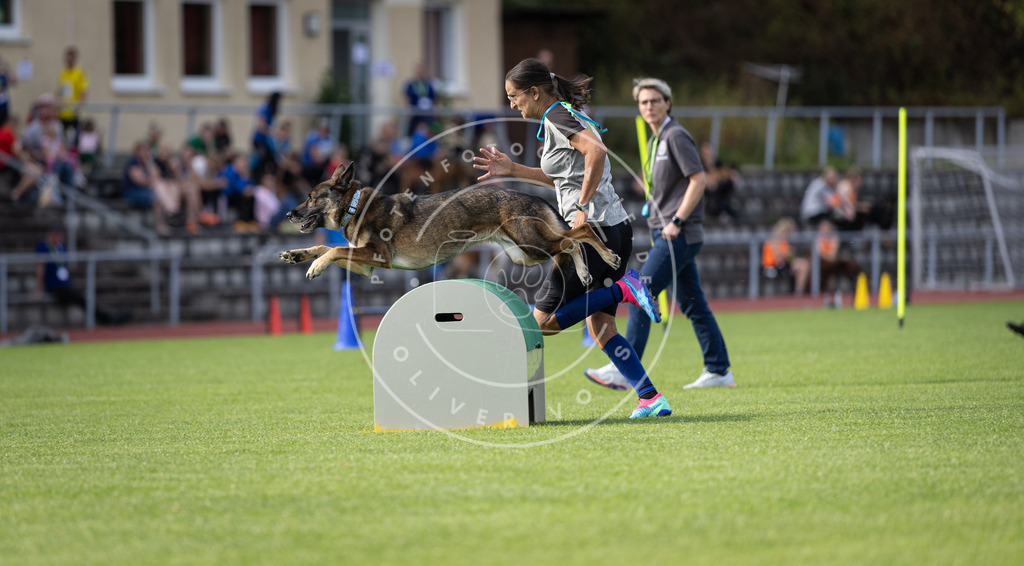 Pfotenfotografie_DV3A1838 | Hundefotografie, Tierfotograf, Pfotenfotografie, Fotoshooting Hund, Hunde Portrait, Hundesport, Hundeportraits, Heideshooting, Hunde, Sportfotograf, Hundefotograf, Turnierhundsport, THS,  - Realisiert mit Pictrs.com