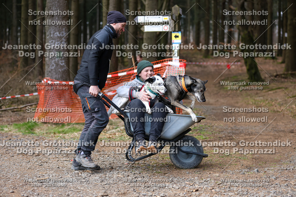 Dog Paparazzi - VCC26-741 | Dog Paparazzi Jeanette Grottendiek Fotografie & Videografie - Realisiert mit Pictrs.com