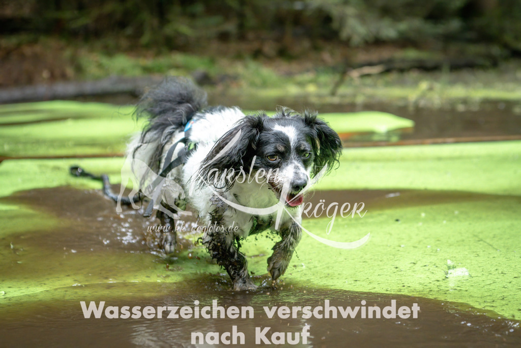 1522_ZZ90434-Bearbeitet | kk-dogfotos