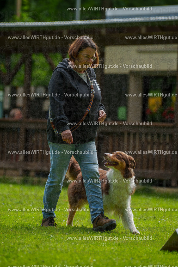@allesWIRTHgut_Tierfotografie - www.allesWIRTHgut.de - 094633-7R507604 | Professionelle Tierfotografie in Mönchengladbach von Daniel Wirth (allesWIRTHgut). Liebevolle & natürliche Bilder von Hunden & Katzen für unvergessliche Erinnerungen.