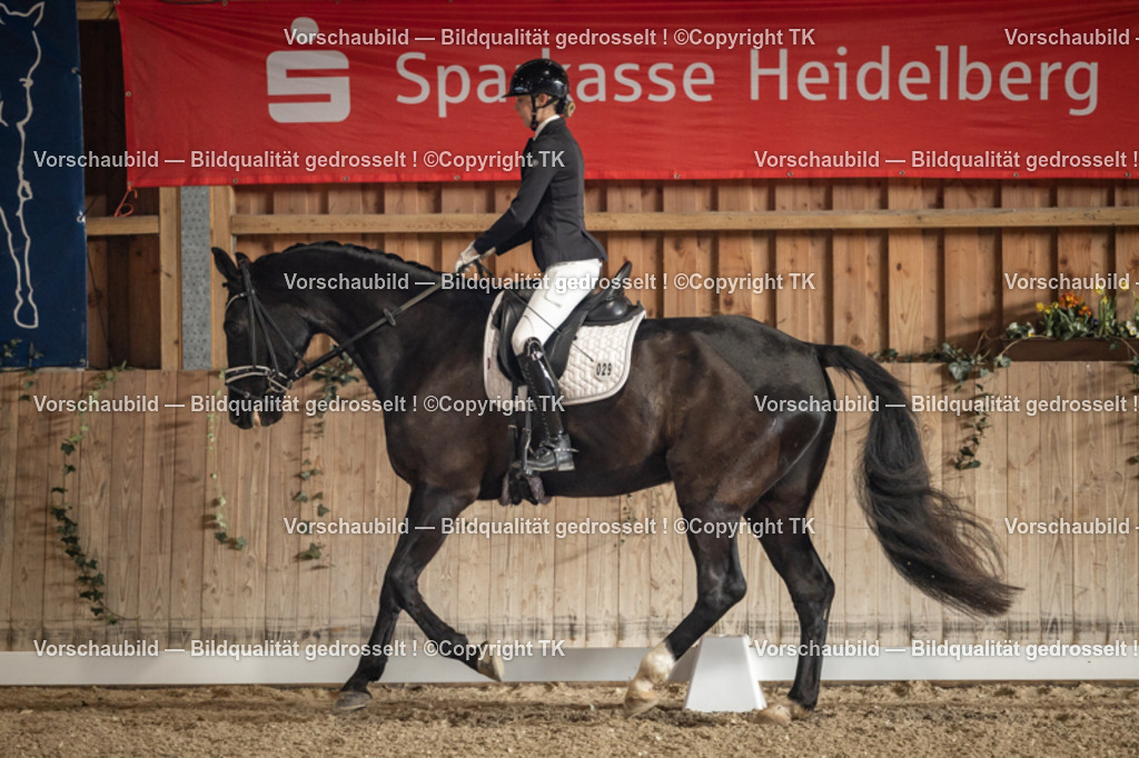 _D5A1054 | Emotionale Pferde- & People-Fotografie rund um Heidelberg, Leimen & Umgebung. Natürliche Fotos von Pferd, Mensch & Familie. Jetzt Termin sichern!