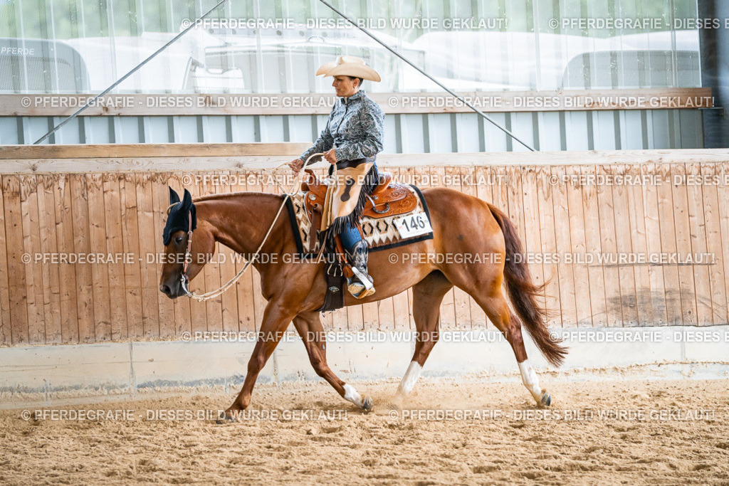 DSC00610 | Pferdegrafie