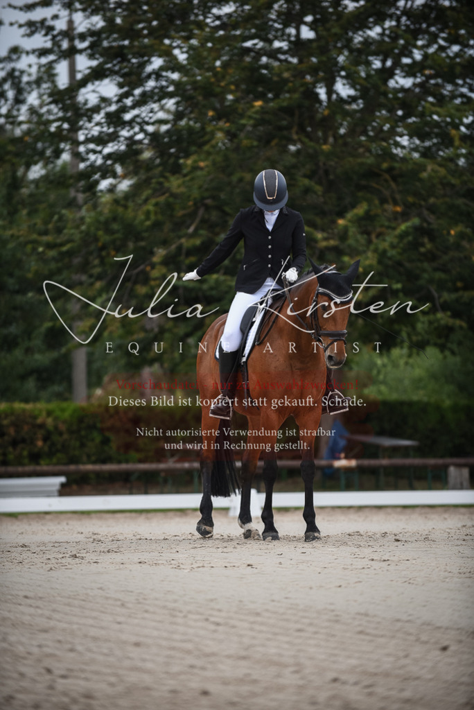 DSC_7992 | Pferde- und Turnierfotografie in Westsachsen. Pferdeportraits, Auftragszeichnungen und intuitive Kunst.