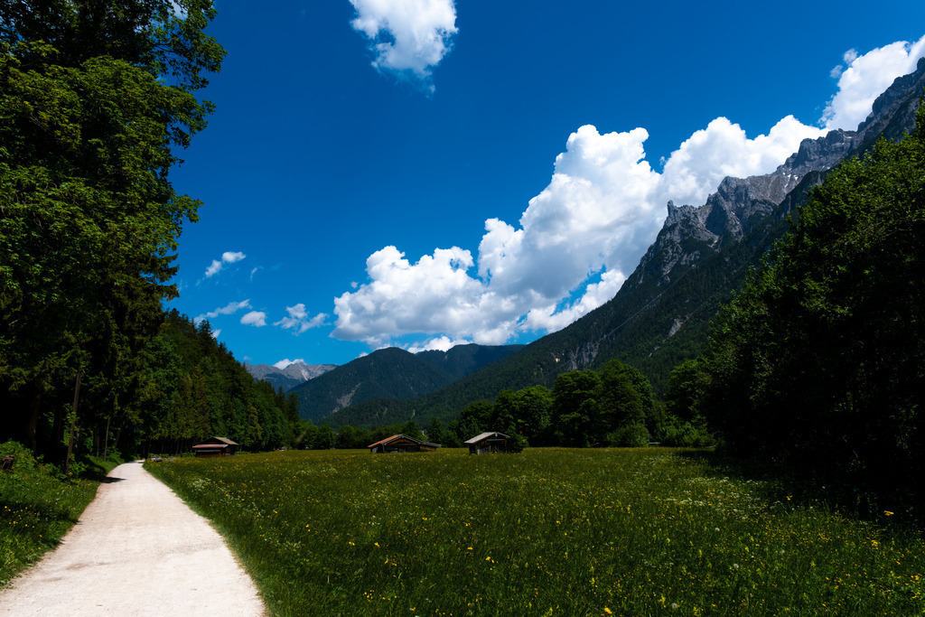 DSCF7316-11 | Tier- & Landschaftsfotografie und Porträtshootings. Entdecke einzigartige Fotokunst als Wandbild, Tasse oder Mauspad – mit Leidenschaft fotografiert - Realisiert mit Pictrs.com