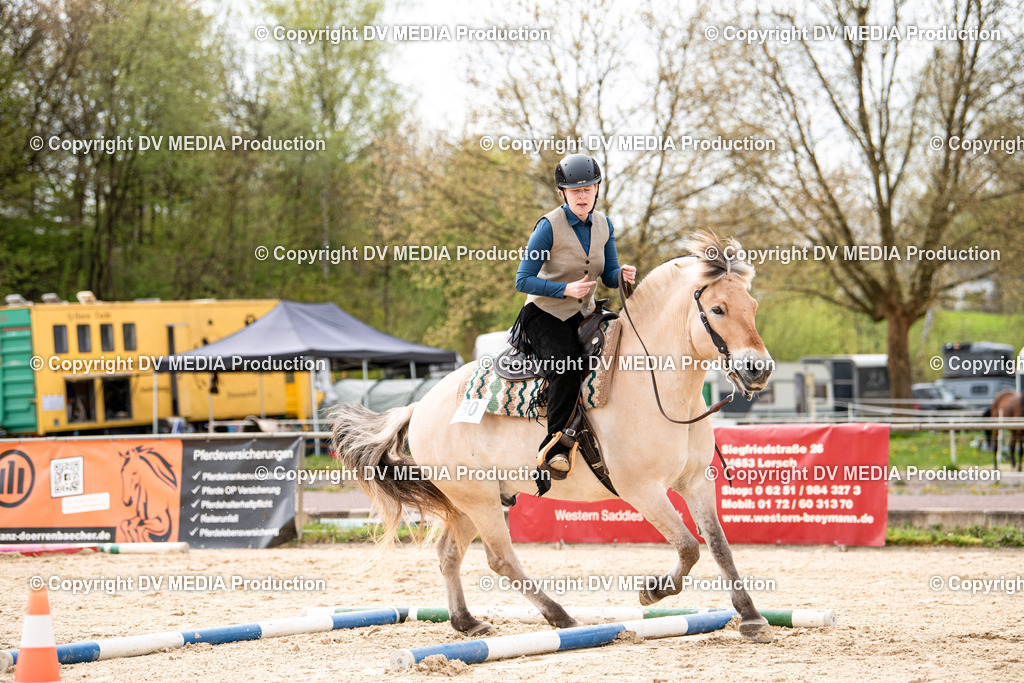 Heiligenwald Tag 1-347 | dv-media-shop - Realisiert mit Pictrs.com