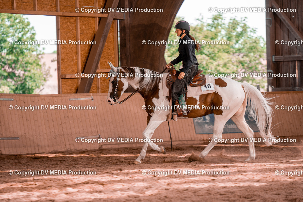 NE100813 | dv-media-shop - Realisiert mit Pictrs.com