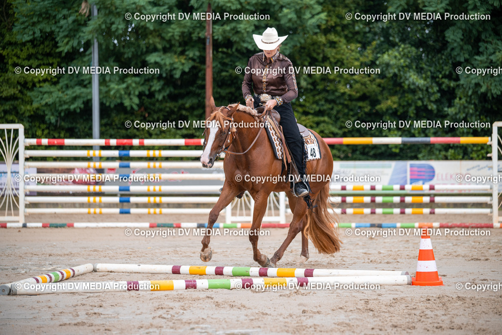 ZS2_3999 | dv-media-shop - Realisiert mit Pictrs.com