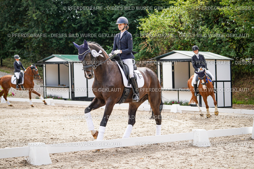 DSC02394 | Pferdegrafie