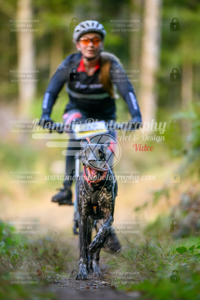 MompixPhotography_Yens2025_B3-38 | PayLife