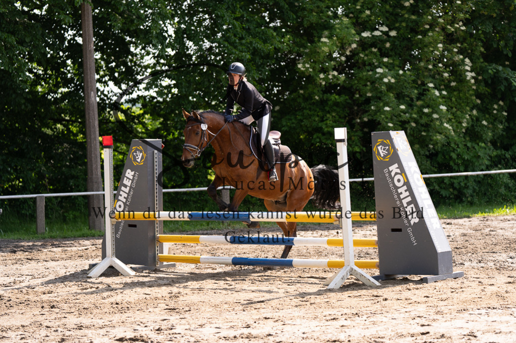 A7507368 | Turnier/Reitfotograf
