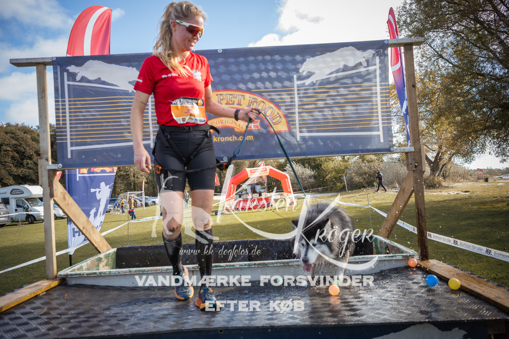 1311_ZZ99614-2 | kk-dogfotos