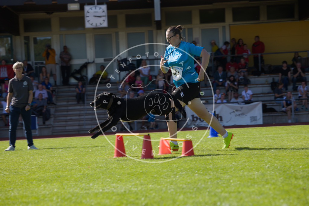 0L8A7446 | Hundefotografie, Tierfotograf, Pfotenfotografie, Fotoshooting Hund, Hunde Portrait, Hundesport, Hundeportraits, Heideshooting, Hunde, Sportfotograf, Hundefotograf, Turnierhundsport, THS,  - Realisiert mit Pictrs.com