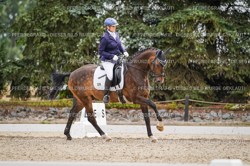 DSC02018 | Pferdegrafie