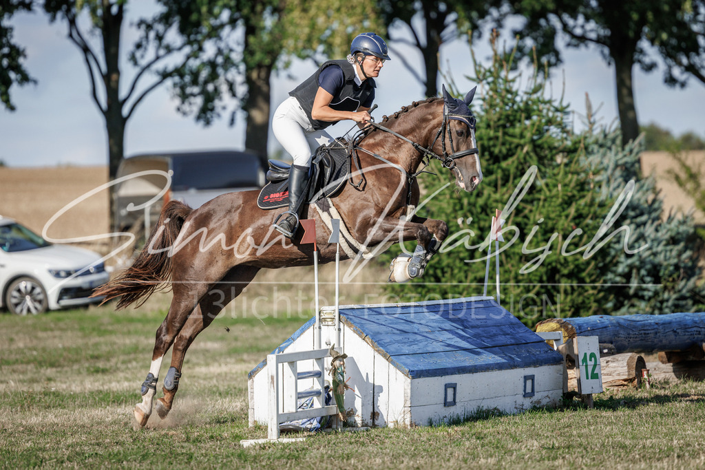 20260905-_3LI0465 | Tierfotografie Pferde, Hunde, Katzen, Haustiere.
Turnierfotografie Reitturniere, Reiten, Springreiten, Dressur in Hanau, dem Main-Kinzig-Kreis und dem Rhein-Main- Gebiet um Frankfurt