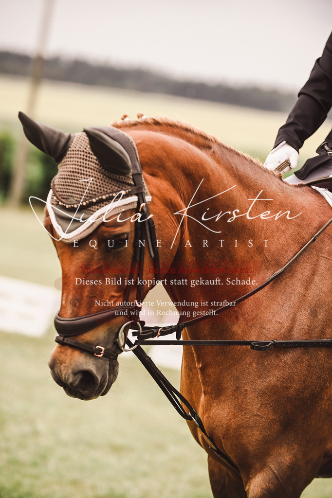 DSC_4782 | Pferde- und Turnierfotografie in Westsachsen. Pferdeportraits, Auftragszeichnungen und intuitive Kunst.