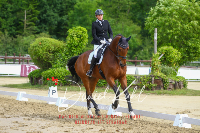 DKP45707 | Turniersportfotografie; Pferdefotografie; Dressurfotografie