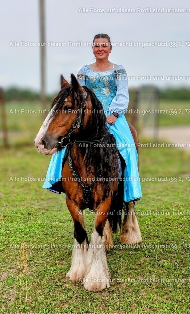 BMF09286_5 | krollfotografie - Realisiert mit Pictrs.com