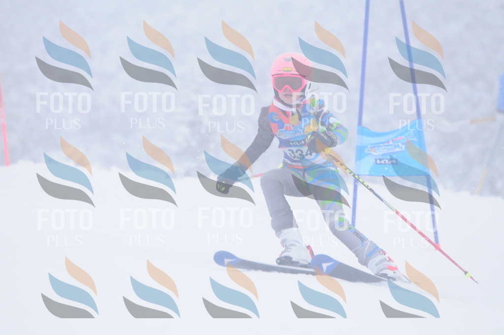 C3575 | holidayphoto