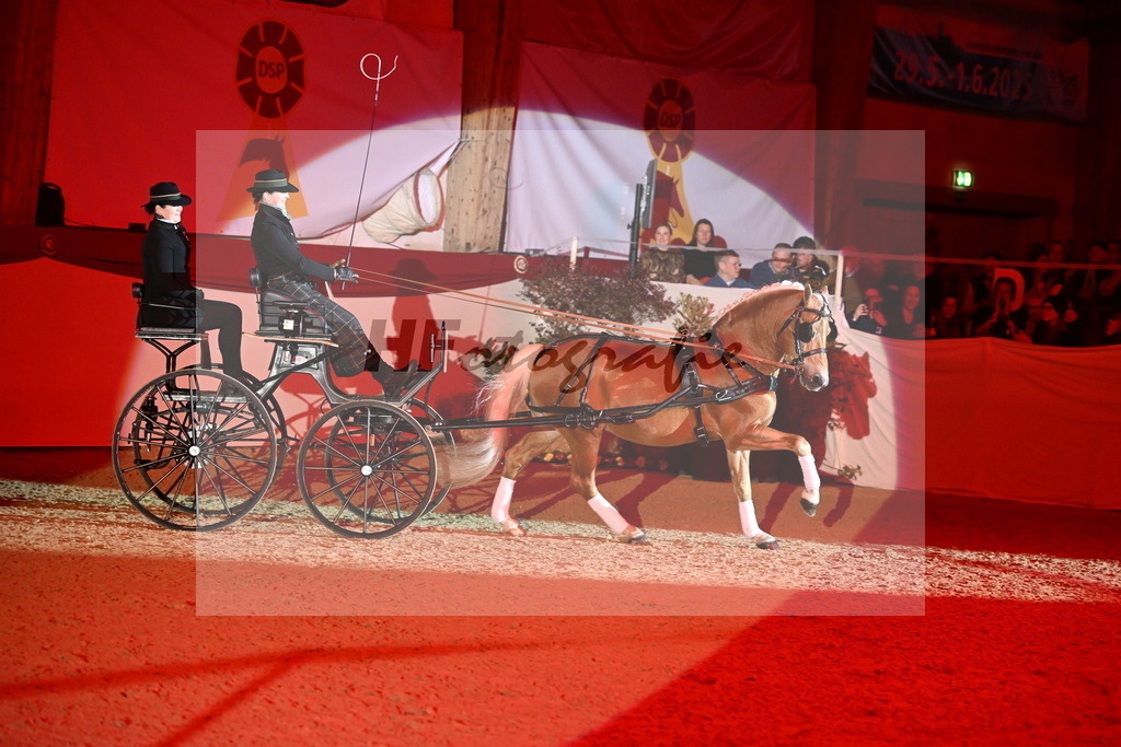 DSP_Avici_As_Karosser_2254533 | hf-fotografie - Realisiert mit Pictrs.com