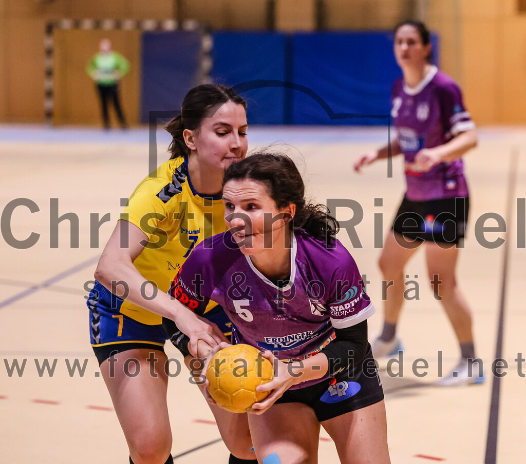 2025-02-15_052_SpVgg_Altenerding_gegen_MTV_Pfaffenhofen | Erding, Deutschland, 15.02.2025:Handball, Bezirksoberliga Frauen Altbayern 2024 / 2024, 14. Spieltag, SpVgg Altenerding gegen MTV Pfaffenhofen, Endergebnis: 27:23Caroline Fenner (MTV Pfaffenhofen, #7), Julia Kübelsbeck (SpVgg Altenerding, #5)Foto: Christian Riedel / fotografie-riedel.net