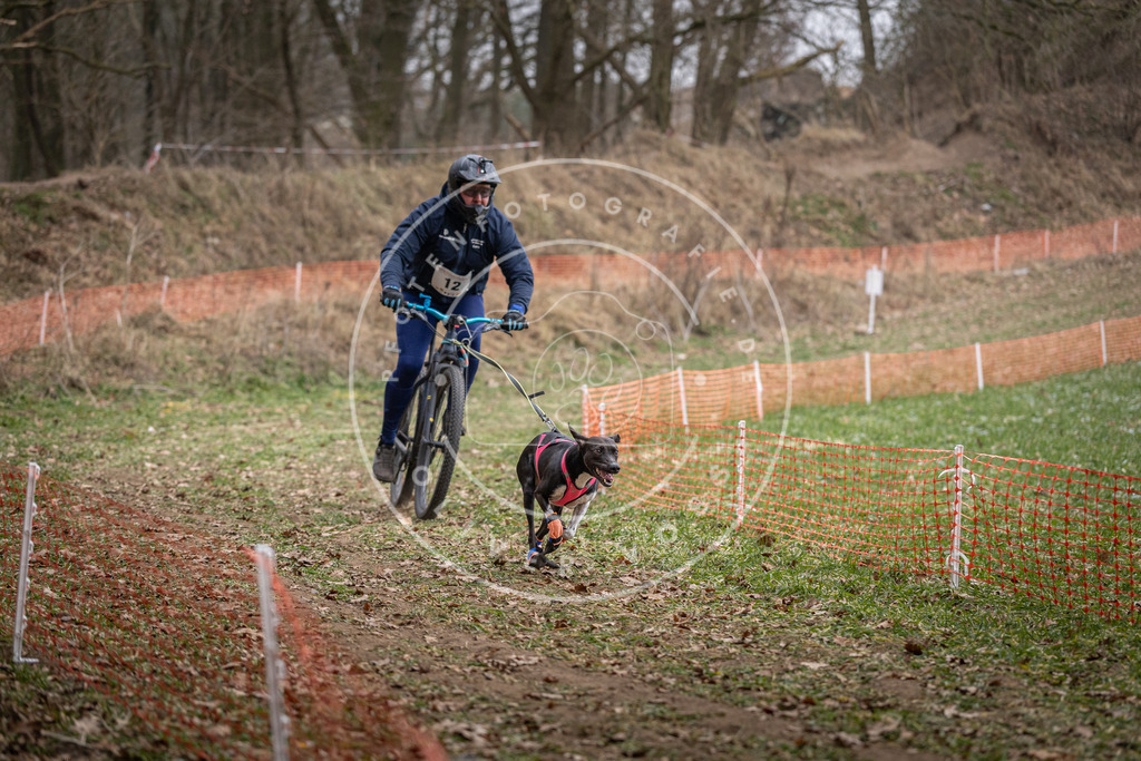 Pfotenfotografie_DV3A6351 | Hundefotografie, Tierfotograf, Pfotenfotografie, Fotoshooting Hund, Hunde Portrait, Hundesport, Hundeportraits, Heideshooting, Hunde, Sportfotograf, Hundefotograf, Turnierhundsport, THS,  - Realisiert mit Pictrs.com
