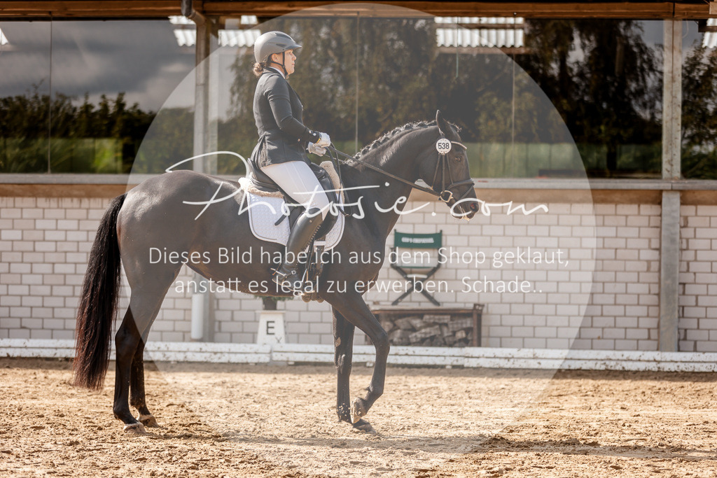 3I6A7286 | Stimmungsvolle Portraits und Reitsportfotografie im Ruhrgebiet und im Münsterland.

Pferdefotografie, Hundefotografie, Tierfotografie, Reportagen, Portraits von Tier und Mensch, Turnierfotografie in Bochum, Recklinghausen, Marl, Haltern am See, Dülmen.. - Realisiert mit Pictrs.com