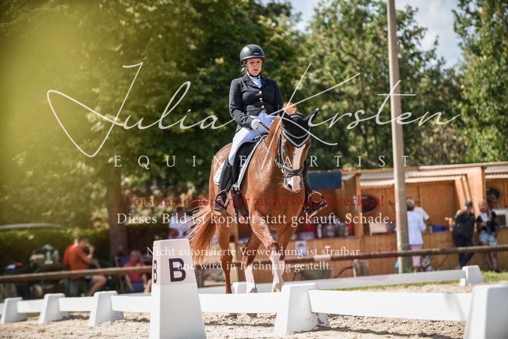 DSC_9350 | Pferde- und Turnierfotografie in Westsachsen. Pferdeportraits, Auftragszeichnungen und intuitive Kunst.