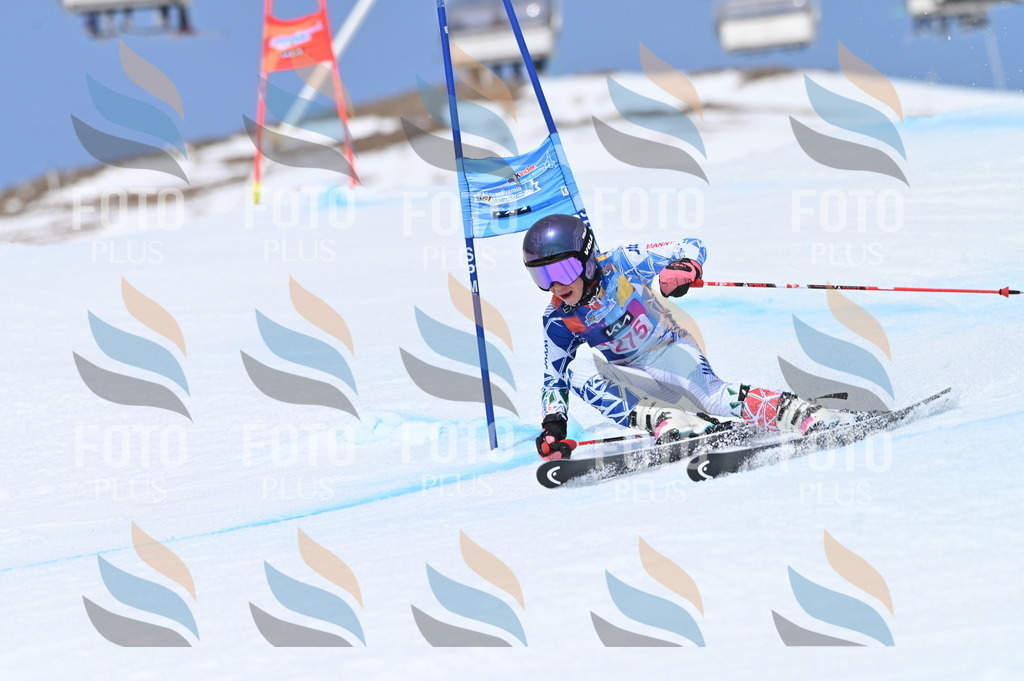 BGV_2334 | holidayphoto