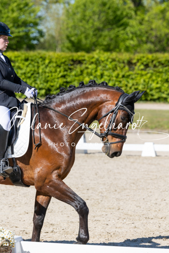 7I8A9517 | melanie-engelhardt-photography - Realisiert mit Pictrs.com