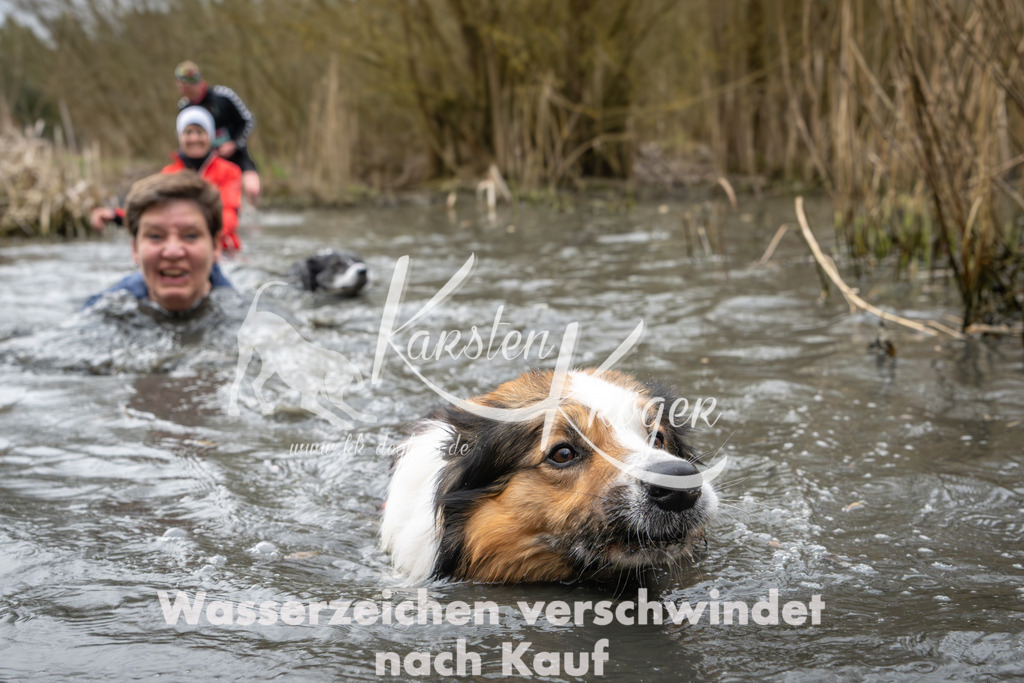 0844_ZZ93512 | kk-dogfotos