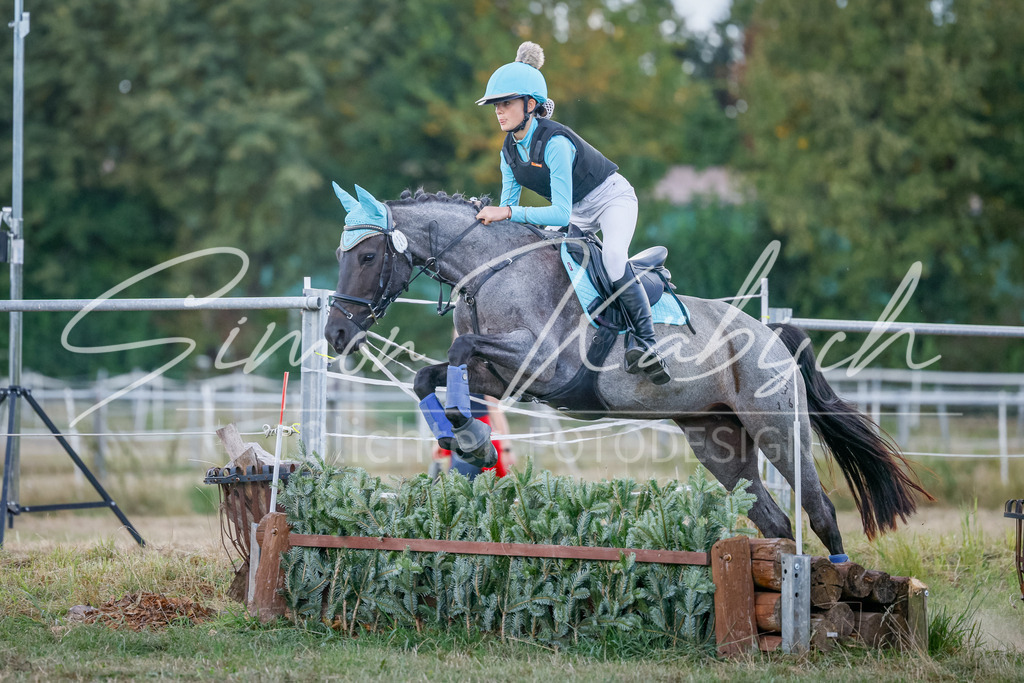 20250905-_3LI1974 | Tierfotografie Pferde, Hunde, Katzen, Haustiere.
Turnierfotografie Reitturniere, Reiten, Springreiten, Dressur in Hanau, dem Main-Kinzig-Kreis und dem Rhein-Main- Gebiet um Frankfurt