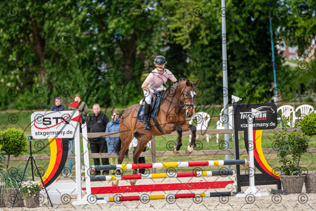 KPT_7199 | andre_photographic