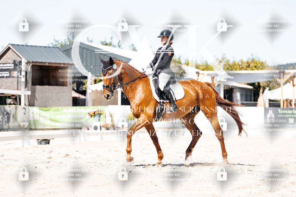 CK909474 | Turnierfotografie Pferdefotografie Trier Rheinland-Pfalz Pferdesport Reitsport Tierfotografie Sportfotografie Pferdevideo Pferdevideografie Equestrianvideography equestrianphotography  - Realisiert mit Pictrs.com
