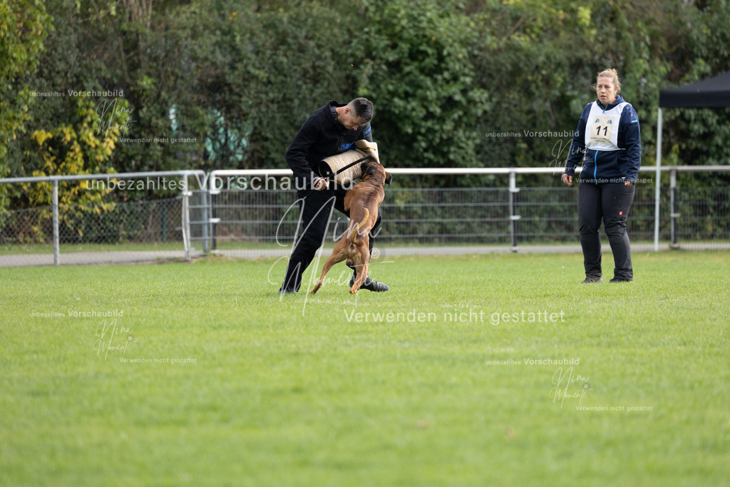 _16A7054 | Einzigartige Fotos von Hunden & Menschen –Actionfotos, Portraits, Vereinsaufnahmen & Paarshootings – authentisch, lebendig & mit Herz.