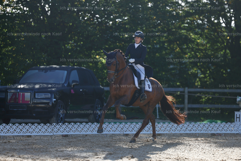 09_1-143-DRESSUR  S_  -StoibPH-5566 | working equitationturnier fotograf videograf stoibphotography marixx film working equitation deutschland reitsport turnierfotografie eventfotografie equestrian events