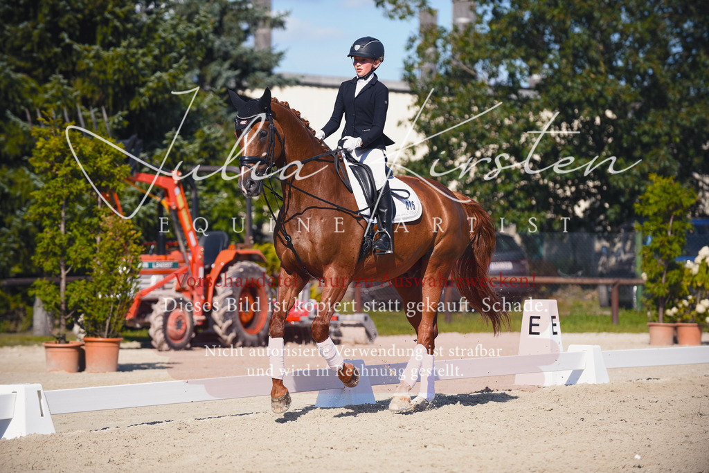 DSC_0093 | Pferde- und Turnierfotografie in Westsachsen. Pferdeportraits, Auftragszeichnungen und intuitive Kunst.