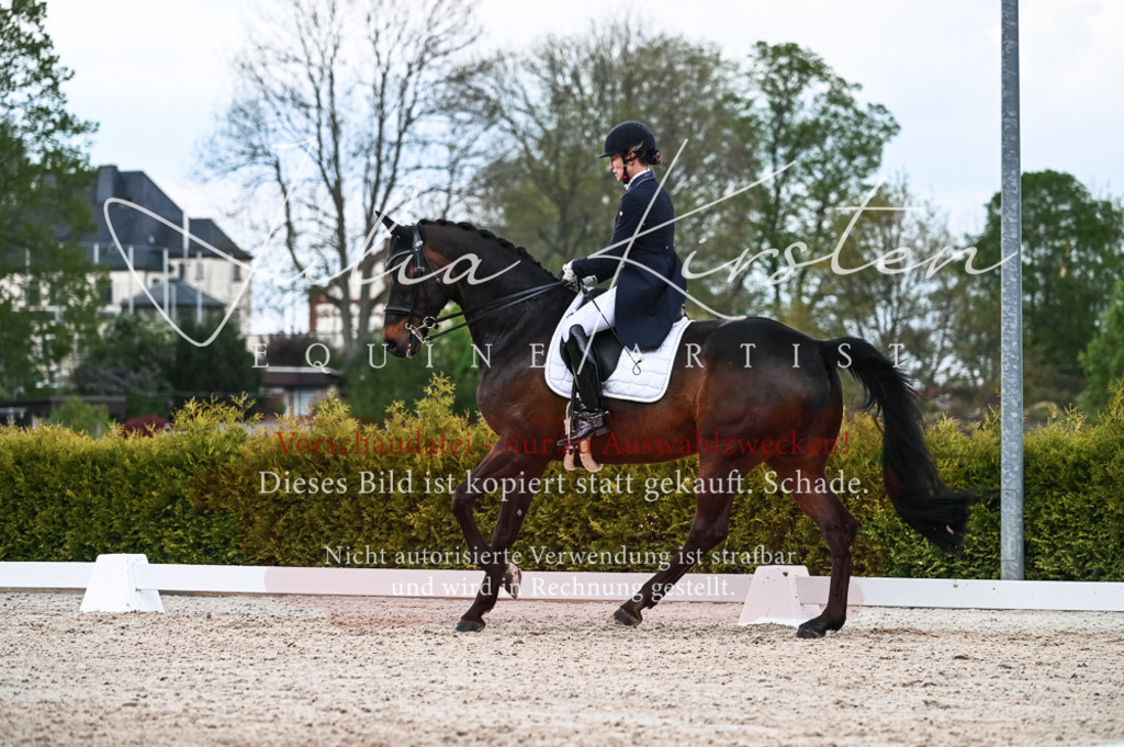 20230514_JK-Röhrsdorf-21-330 | Pferde- und Turnierfotografie in Westsachsen. Pferdeportraits, Auftragszeichnungen und intuitive Kunst.