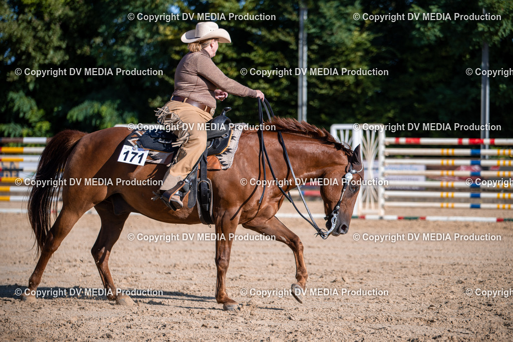 ZS1_0710 | dv-media-shop - Realisiert mit Pictrs.com